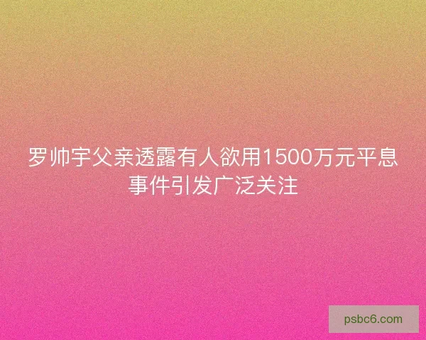 罗帅宇父亲透露有人欲用1500万元平息事件引发广泛关注
